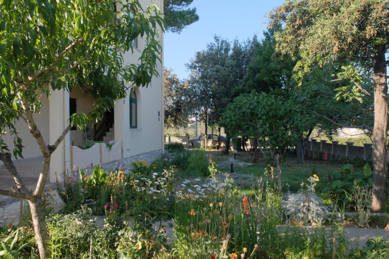 Apartmani Bosiljka Nin Dış mekan fotoğraf