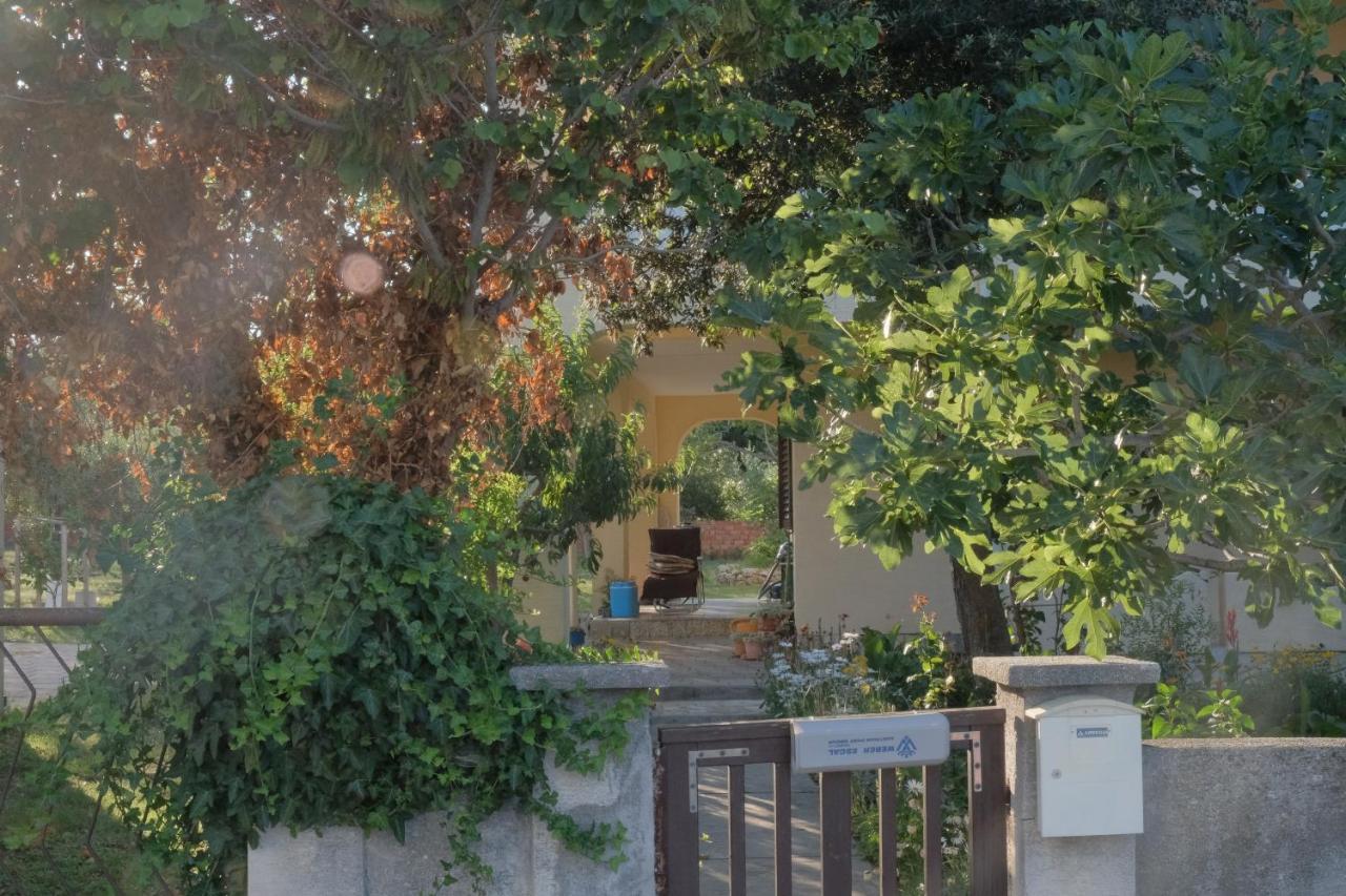 Apartmani Bosiljka Nin Dış mekan fotoğraf