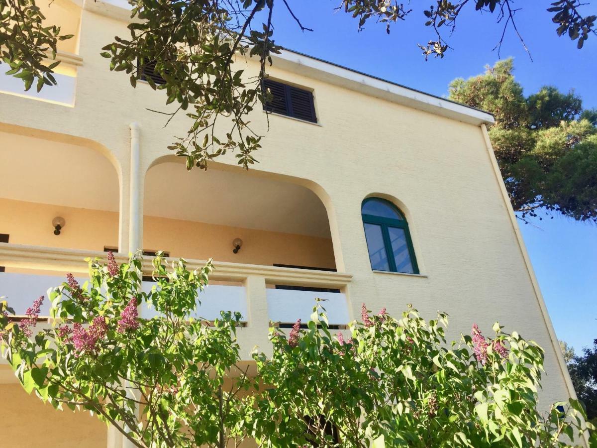 Apartmani Bosiljka Nin Dış mekan fotoğraf