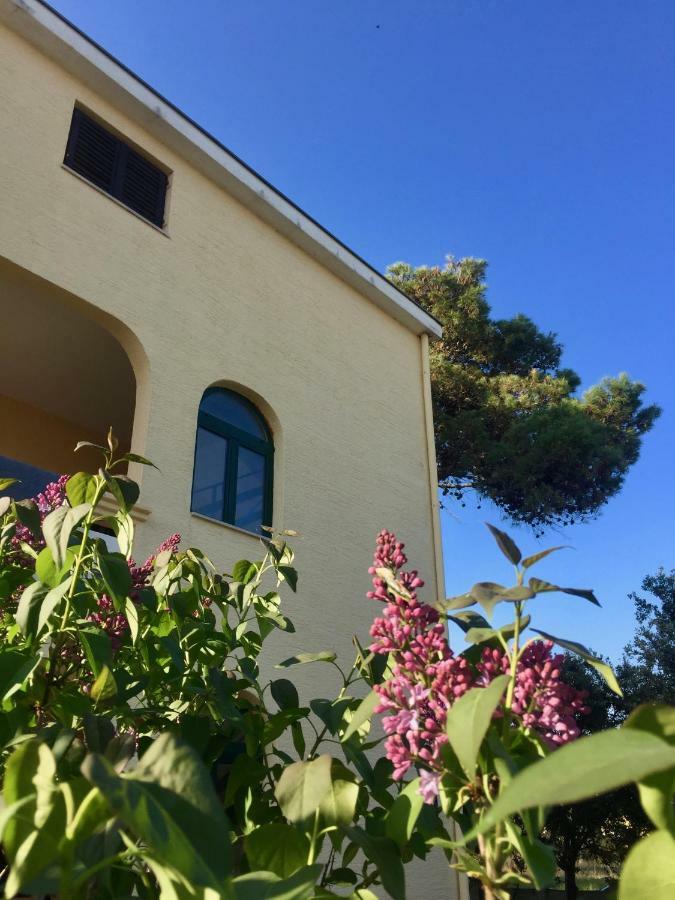 Apartmani Bosiljka Nin Dış mekan fotoğraf